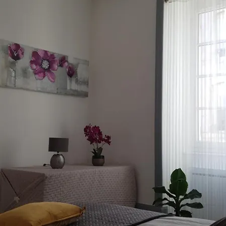 Cosy Entre Centre Et Hopital Apartment Montlucon